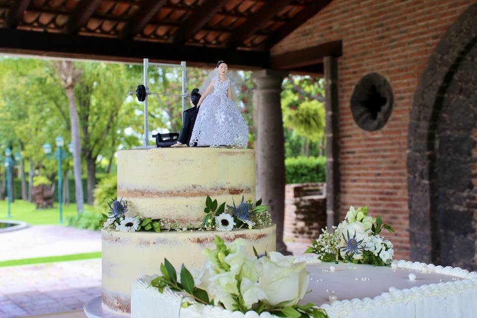 Boda F&D