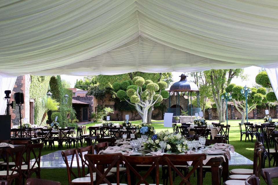 Boda F&D