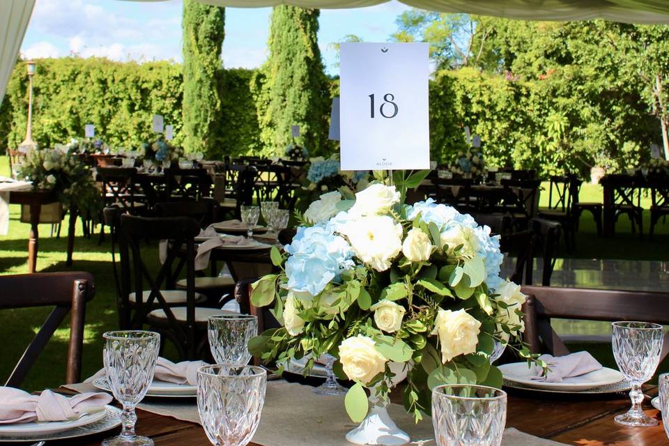 Boda F&D