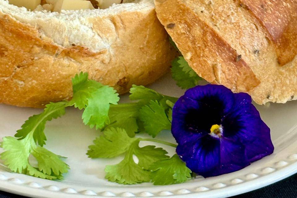 Platillos Chef Aldda Eventos