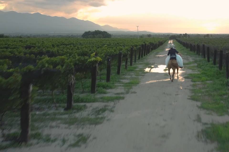 El inicio del camino