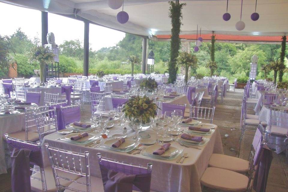 Boda morada