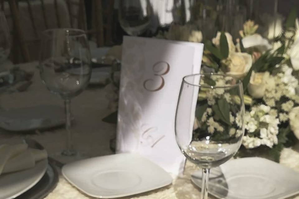 Montaje blanco