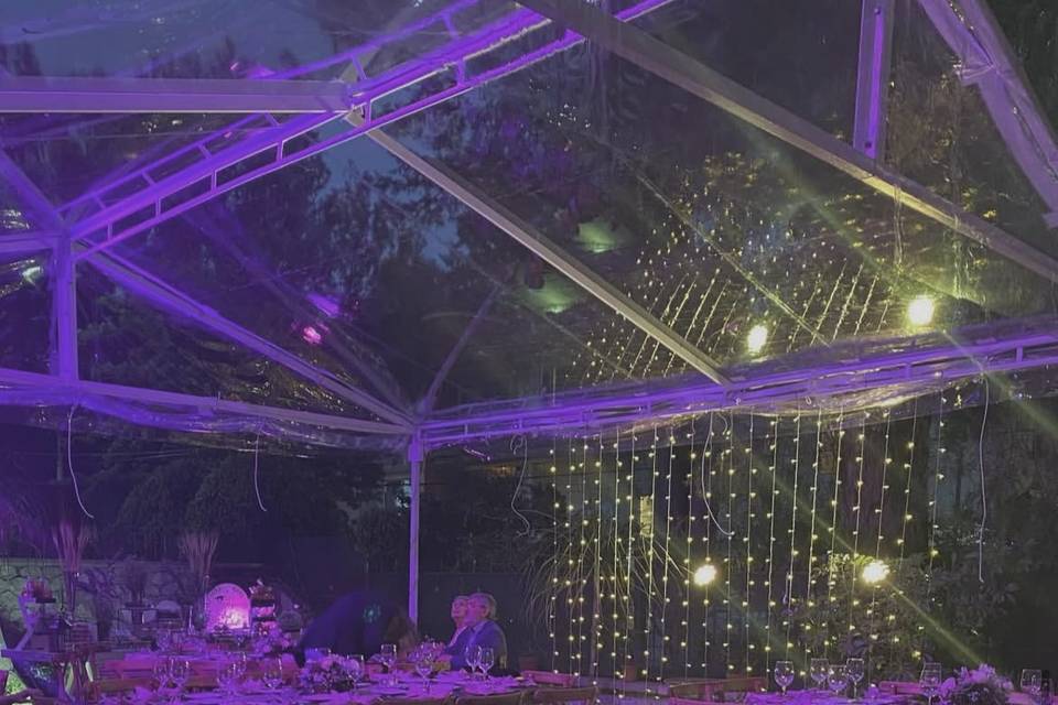 Carpa transparente