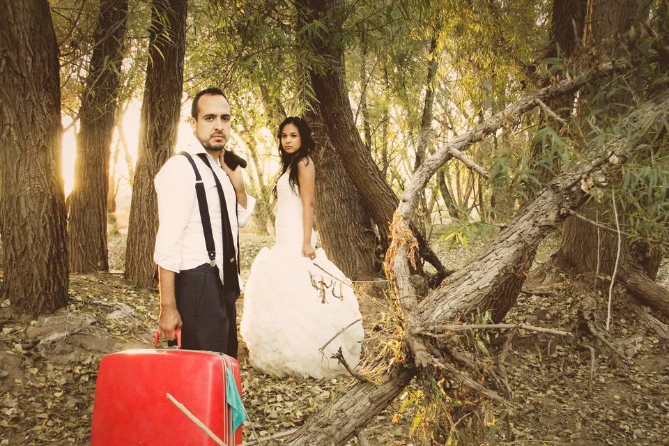 Trash the Dress