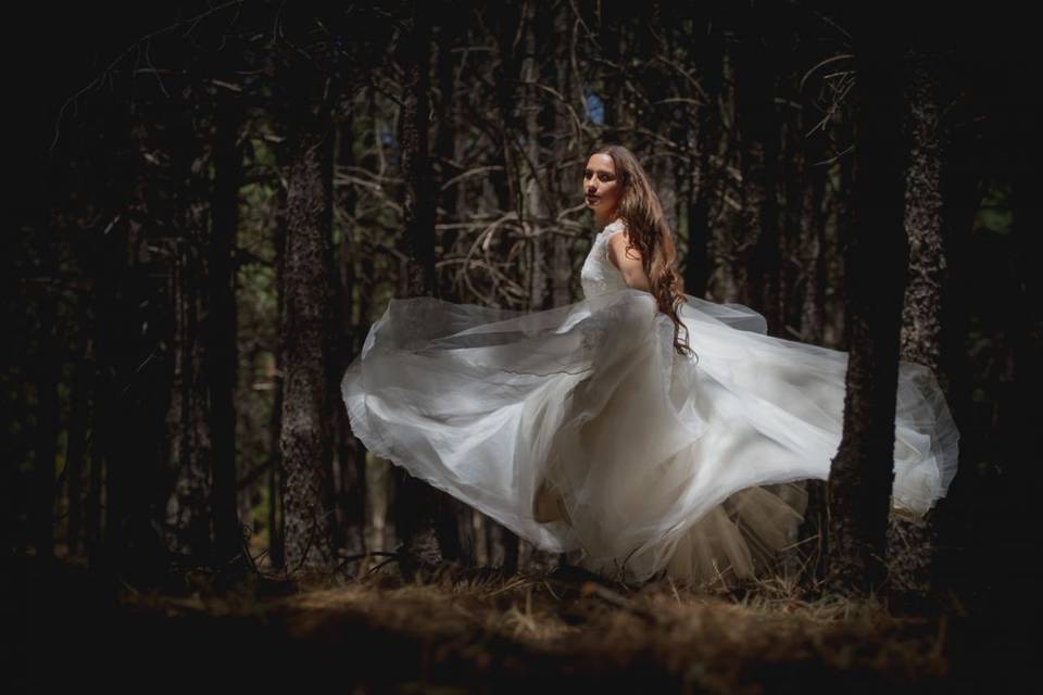 Trash the Dress