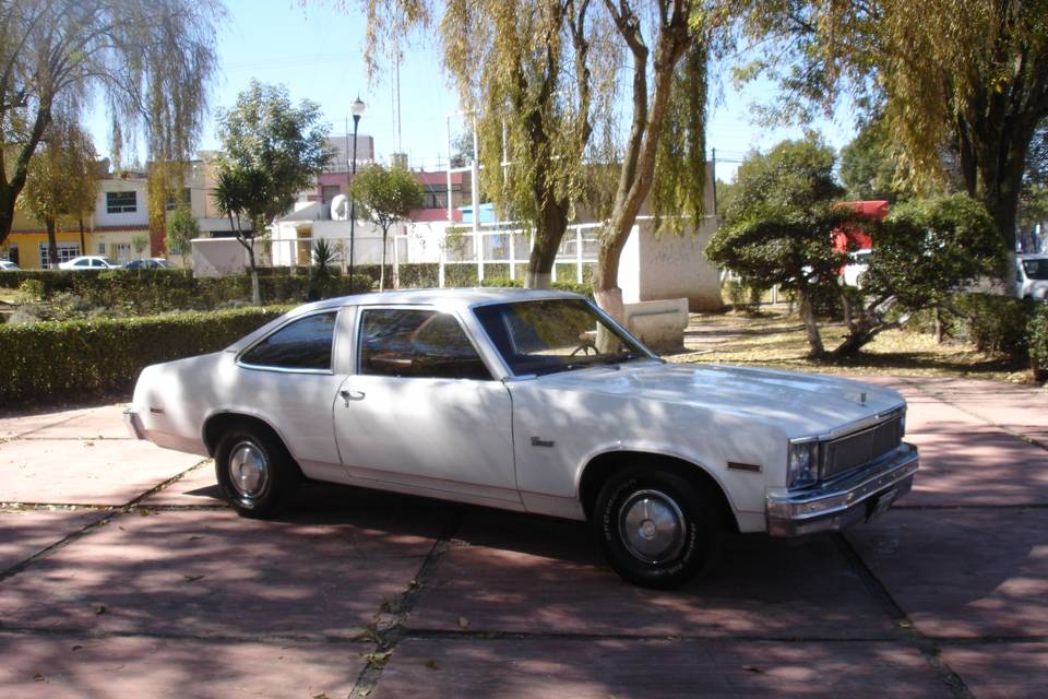Chevrolet 1977 Nova Concuors