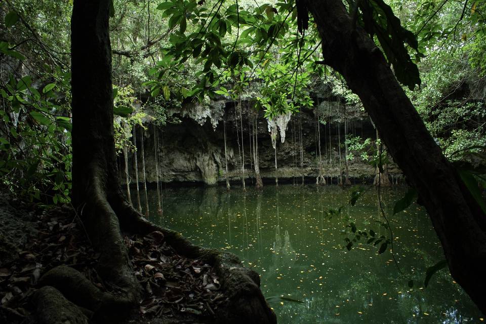 Cenote