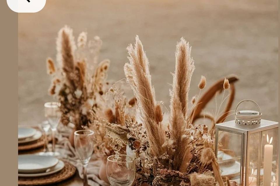 Boda Boho