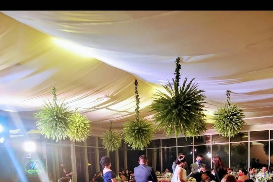 Boda silvestre