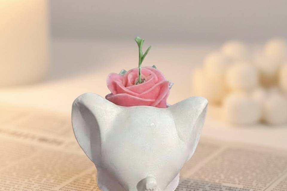 Elefante con rosa aromática