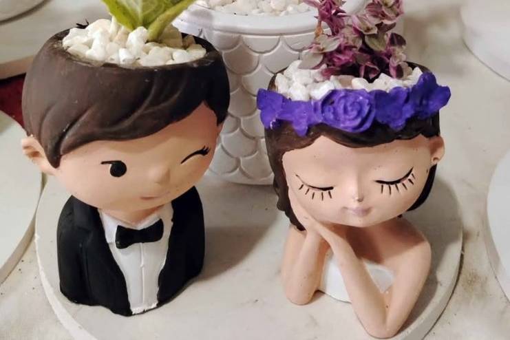 Novios suculenta