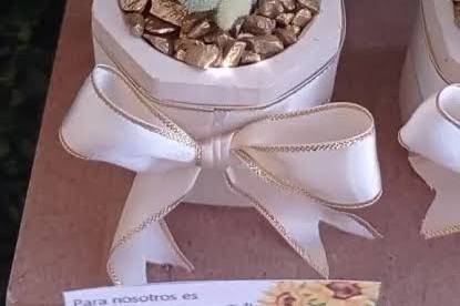 Suculenta mini