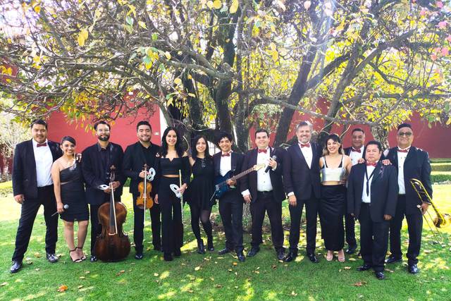 Grupo Alfamusic