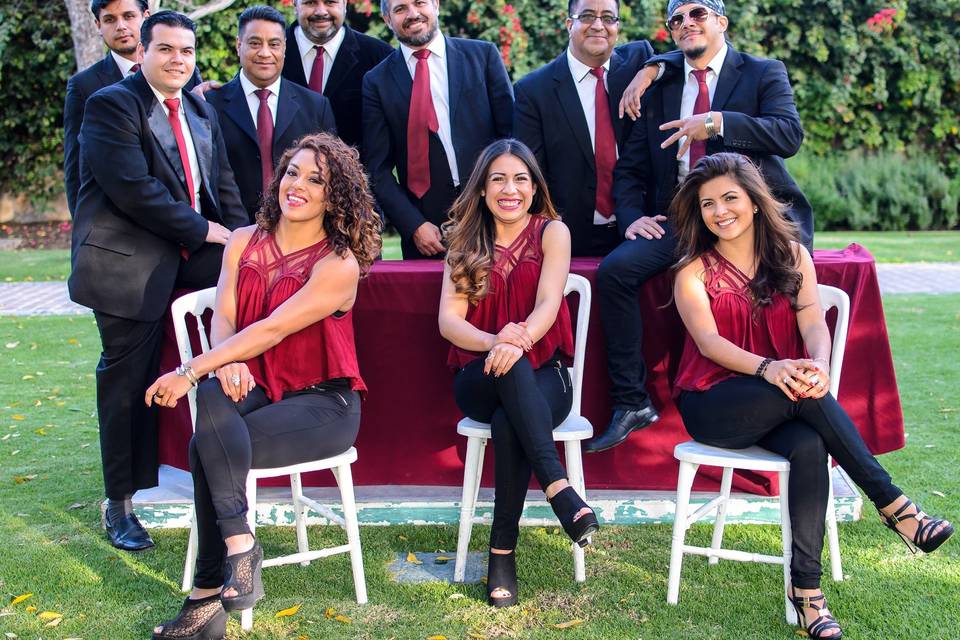 Grupo Alfamusic