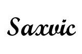 Logo Saxvic