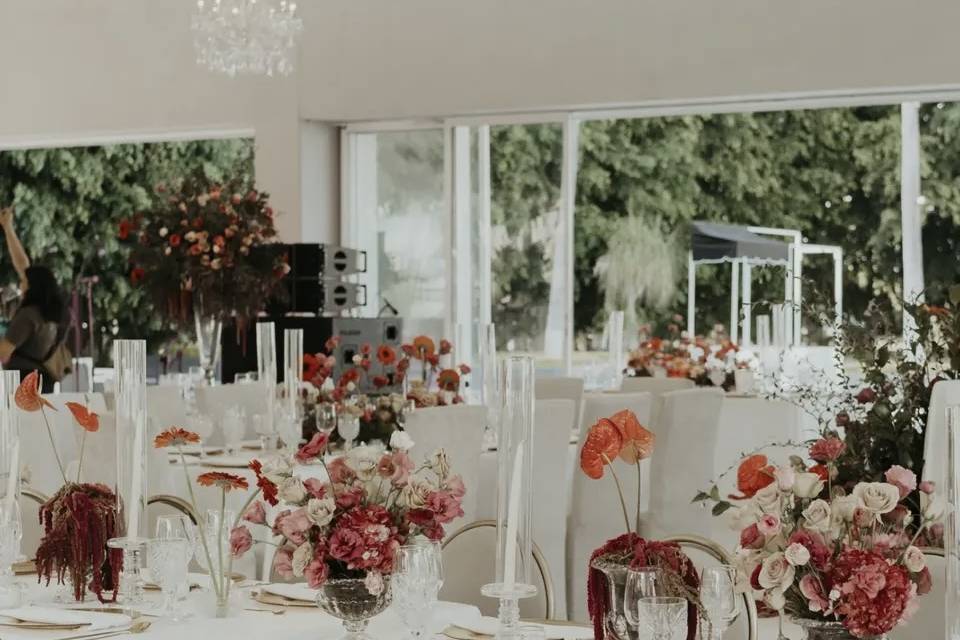 Montaje Perla & Harian