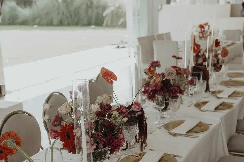 Montaje Perla & Harian