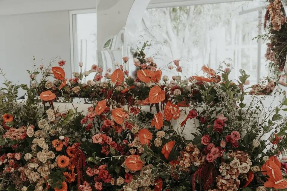 Montaje Perla & Harian