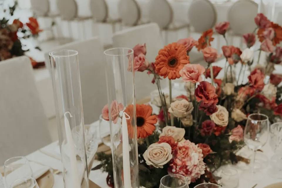 Montaje Perla & Harian