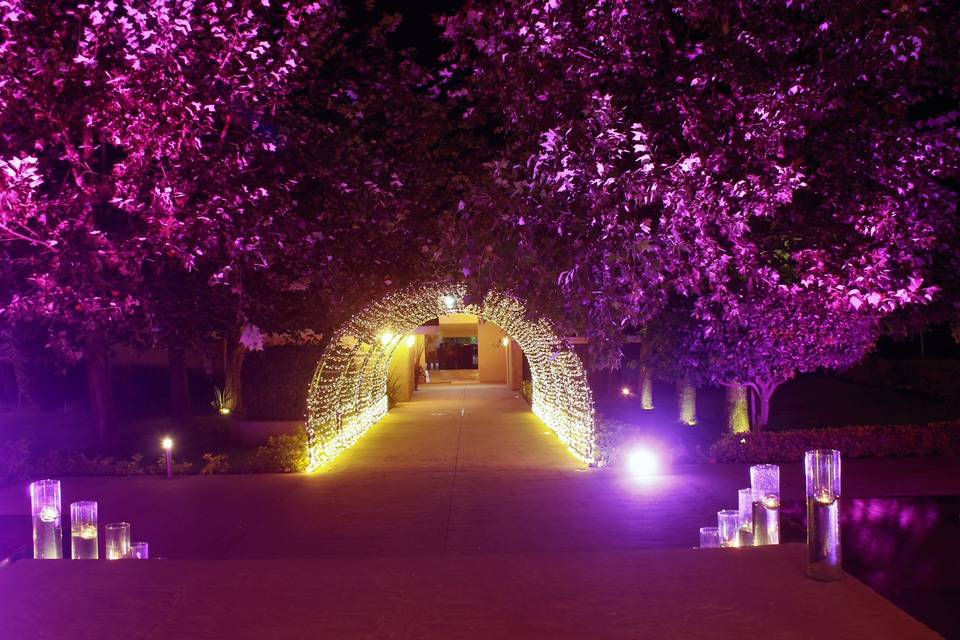 Túnel e iluminación en arboles