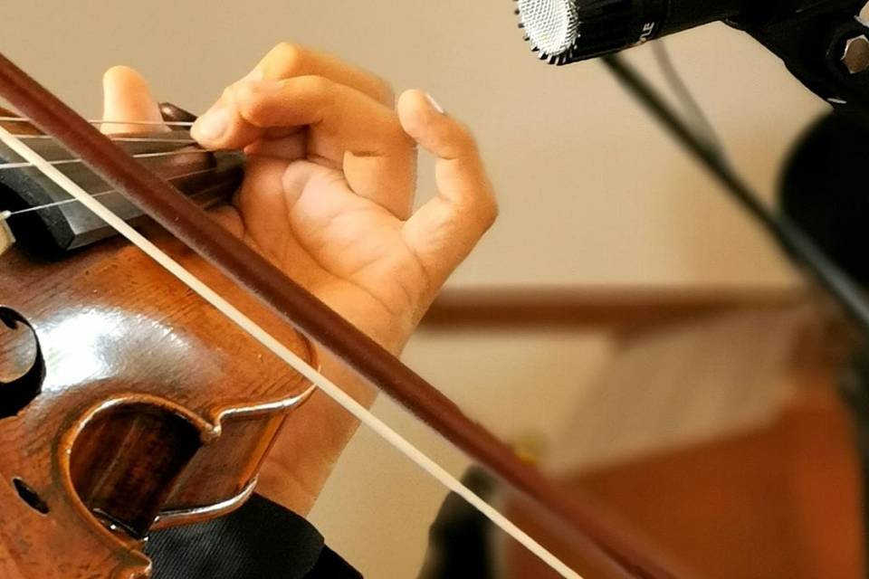 Violín