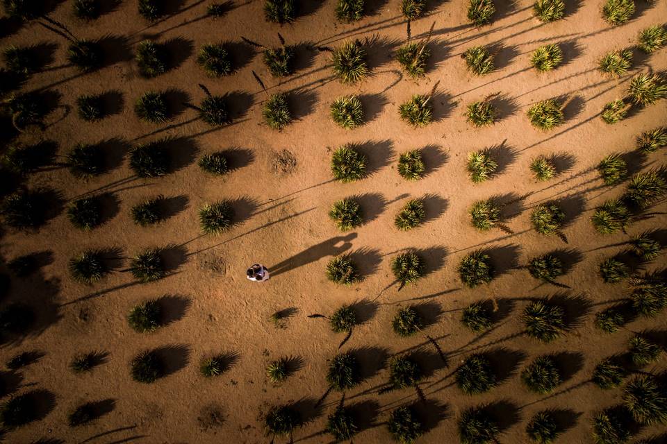 Drones y vista aérea