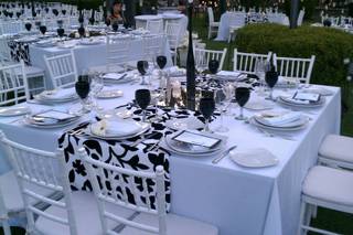 Servicios Arbolo