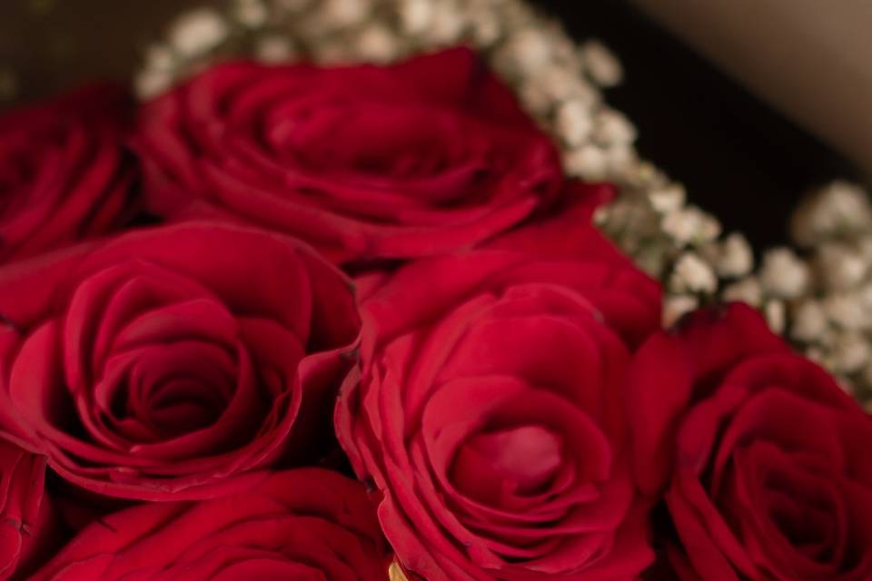 Pedida de Mano - J&J