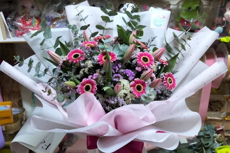 Tulipan