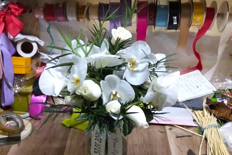 Orquideas