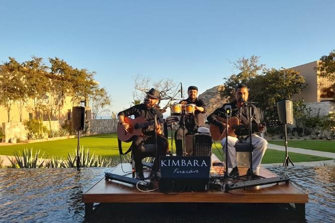 Músicos talentosos para eventos