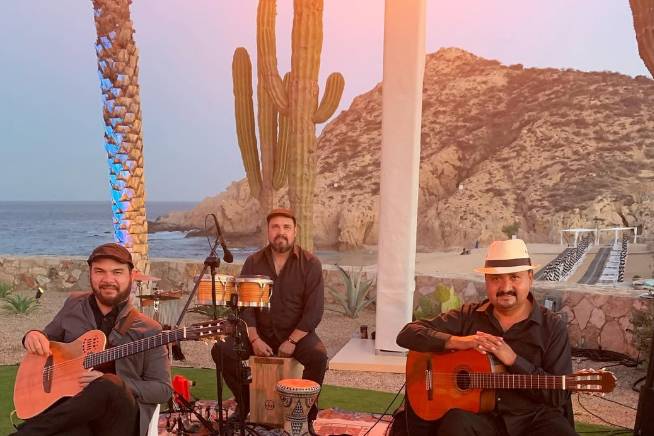 Músicos talentosos para eventos