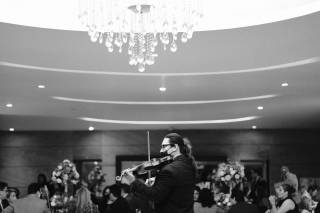 David Peleato - Violinista