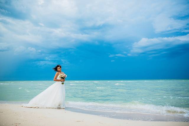 Trash the dress