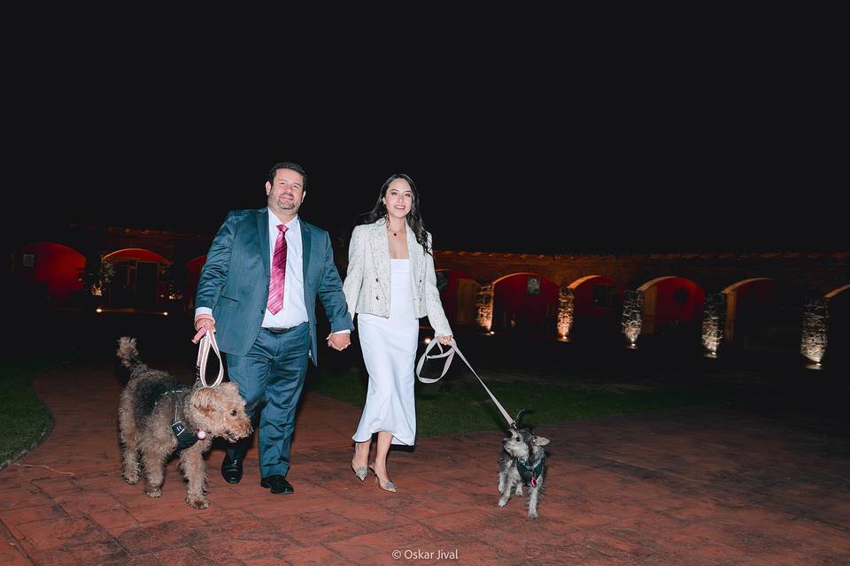 Bodas pet friendly