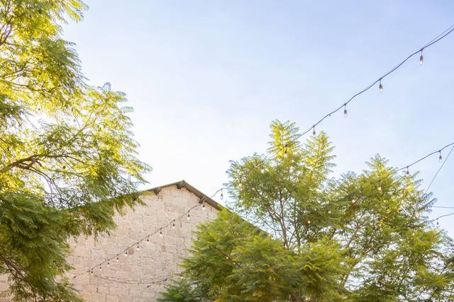 Coordinación & Planeación