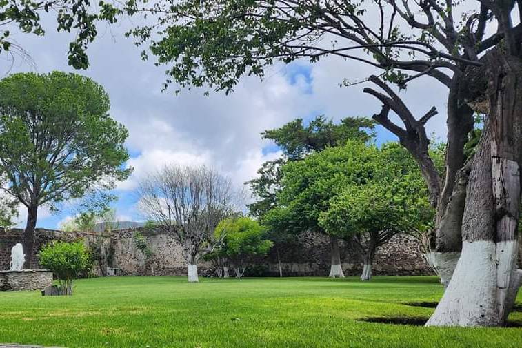 Patio espejos