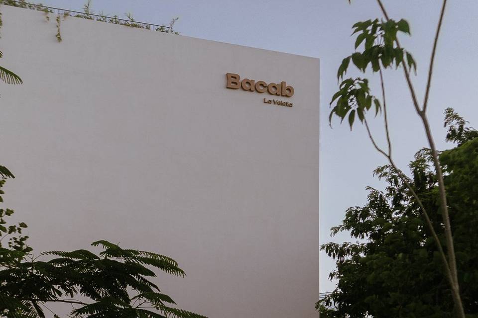 Entrada