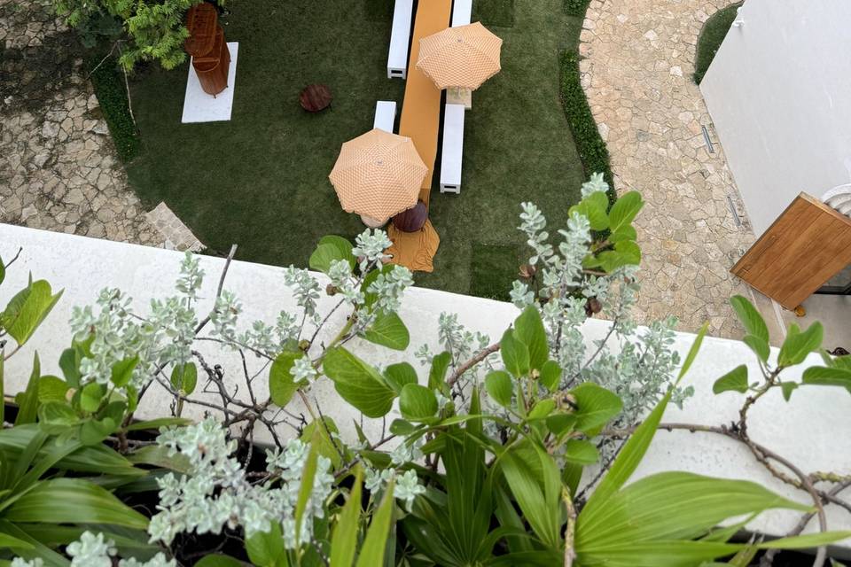 Jardin