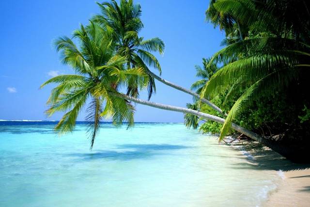 Playas paradisíacas