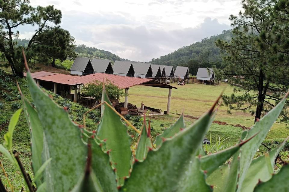 9 cabanas