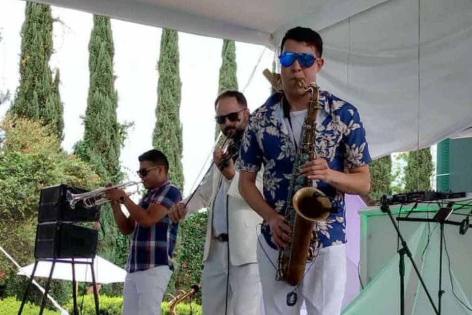 Violín, sax, trompeta y Dj