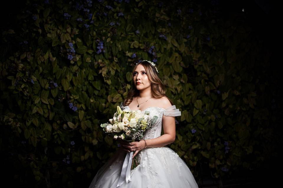 Novia