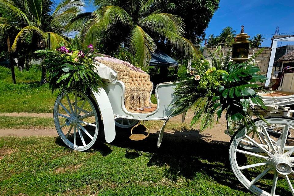 Servicio de Calandria