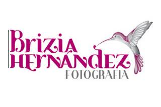 Brizia Hernández Fotografía logo