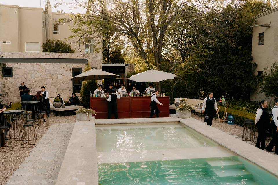 POOL & COCKTAIL