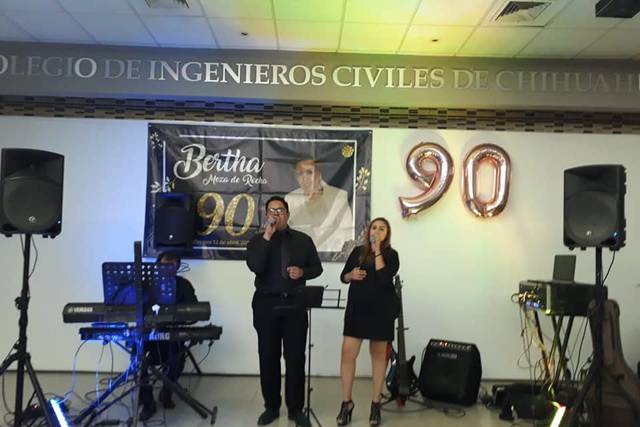 Cantantes profesionales