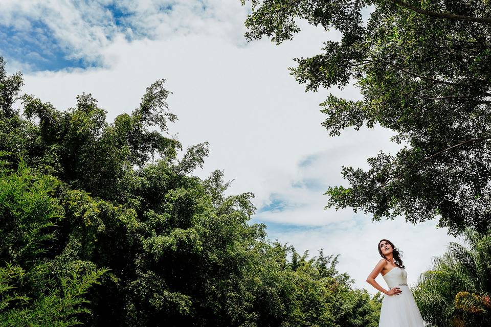 José Luis Lara, Wedding Day