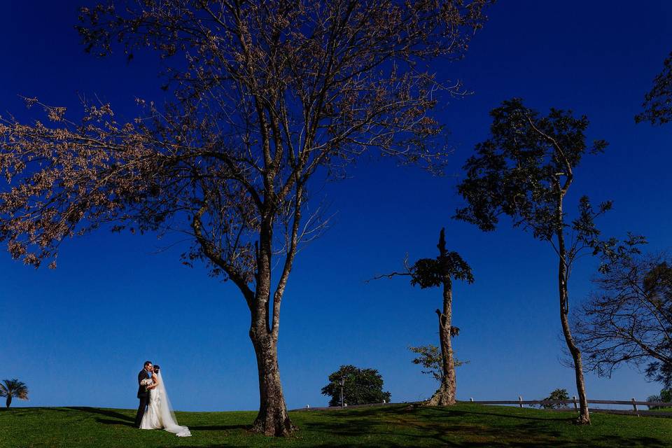 José Luis Lara, Wedding Day